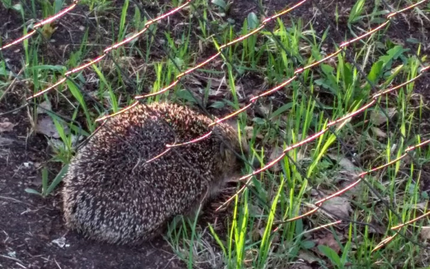 Из личного архива