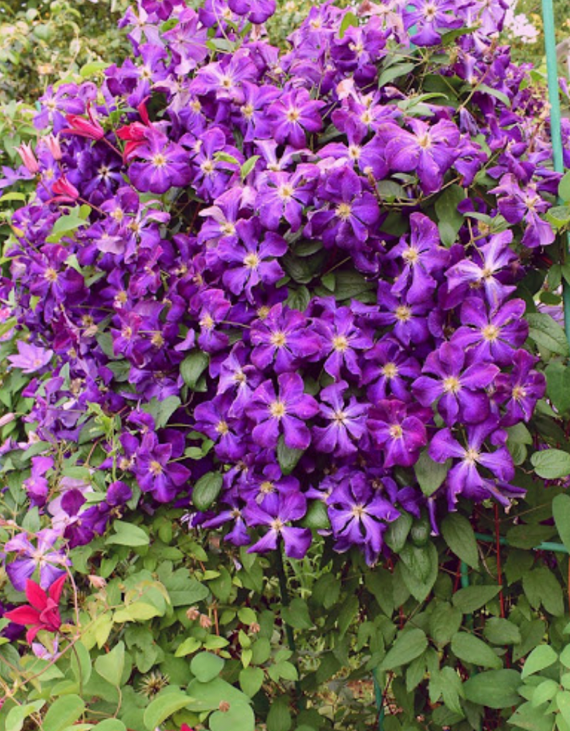 Добавьте описание