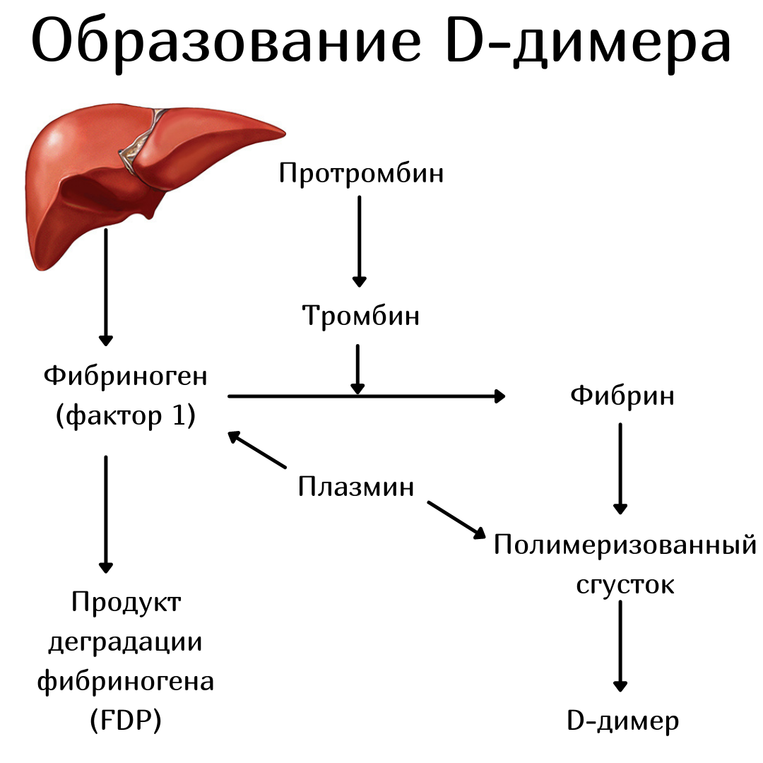 Д димер