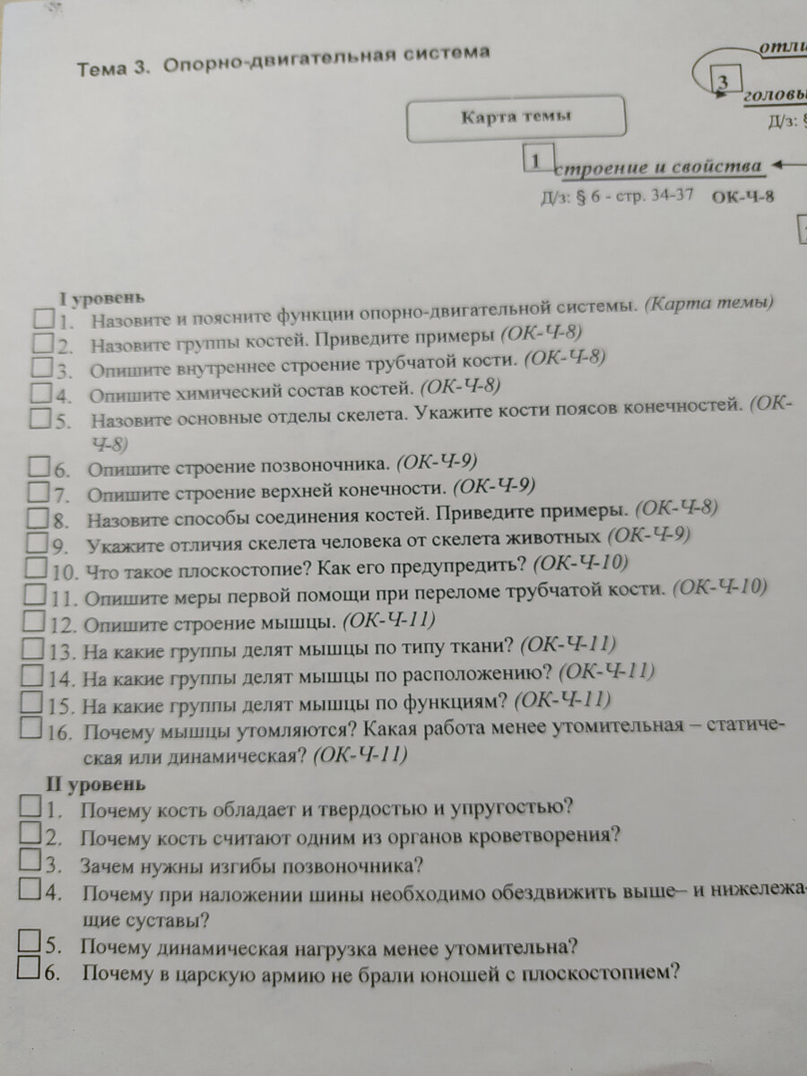 Урок биологии в 8 классе — Строение и рост костей. Простой, но поражающий  воображение эксперимент в ходе урока | Елена Сова: пуд соли в школе | Дзен