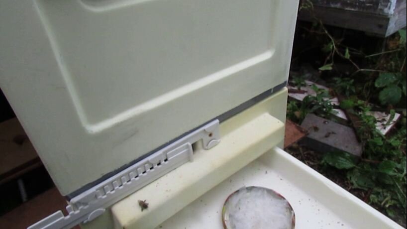 обработка пихтовым маслом в улье биненхаус на 6 рамок