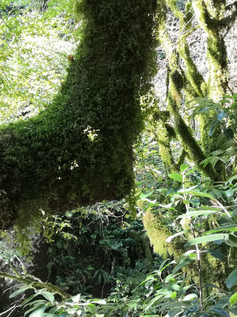 А тут, вообще, что-то удивительное! 