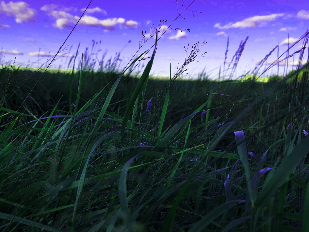 Личная галерея журнала G64