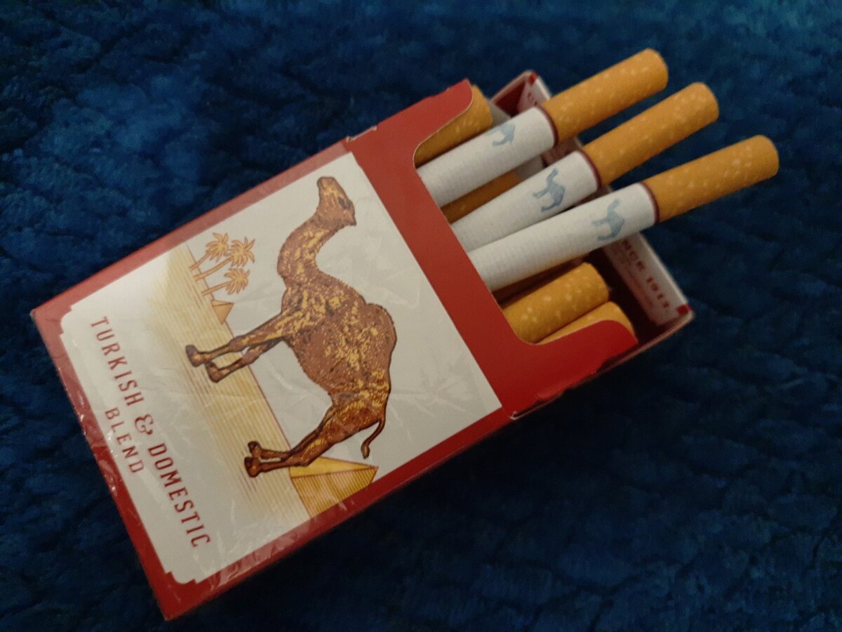 Сигареты кэмел сигареты 1988