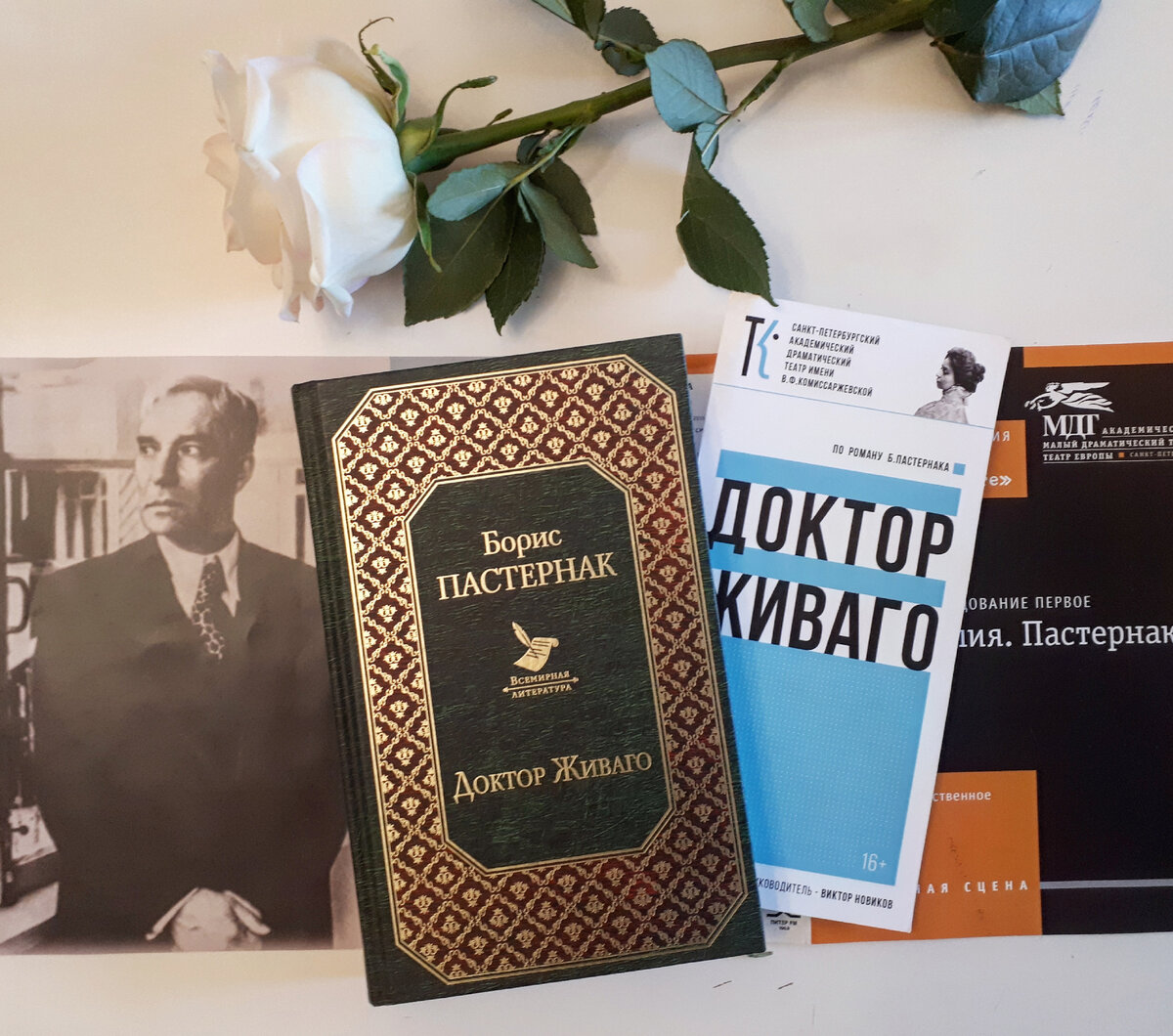 Книжная аптека книга. Любимые книги любимых писателей.