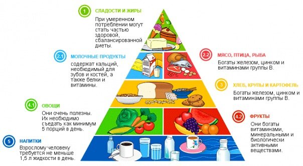 Правильный рацион питания на КАЖДЫЙ ДЕНЬ