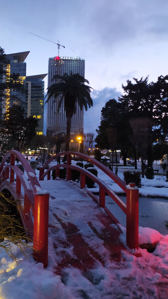 Грузия. Батуми. Заснеженный японский сад