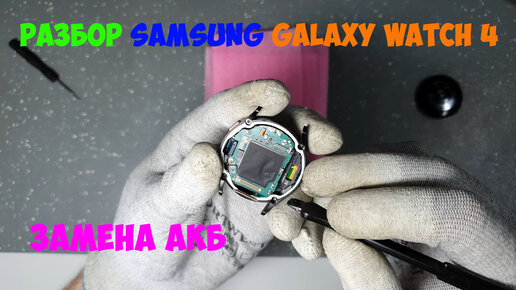 Разборка часов Samsung Galaxy Watch 4 (SM-R860)