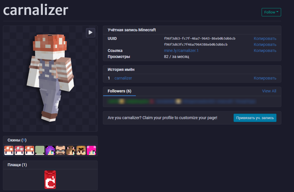 Скин создателя Crown and Council в Minecraft.
