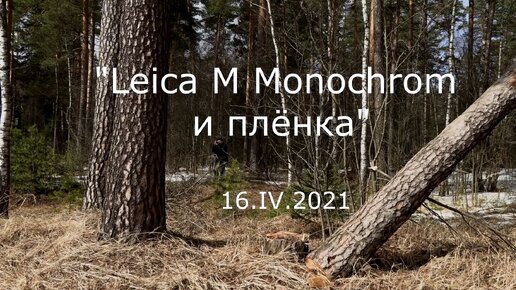 С.В. Савельев. Leica M Monochrom и плёнка - [20210416]