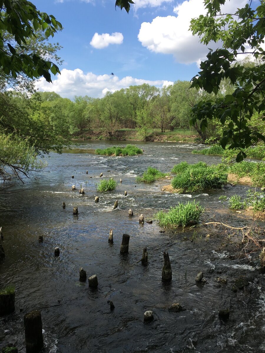 Перекат р.Дон