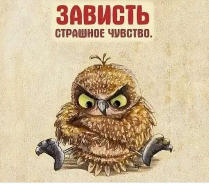 Фото для наглядности. Так выглядит моя золовка когда мы что то купили.