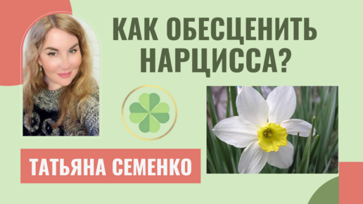 ✅Кого выберет НАРЦИСС? ✅Как ОБЕСЦЕНИТЬ нарцисса.