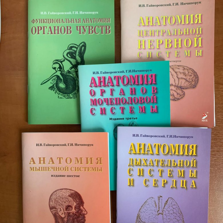 Методички Гайворонского по анатомии. Гайворонский анатомия учебник. Анатомия методичка. Книга методички анатомия.