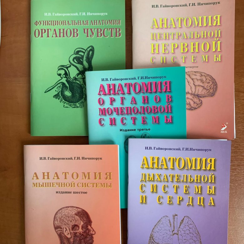 Учи анатом. Методички Гайворонского по анатомии. Гайворонский анатомия учебник. Анатомия методичка. Книга методички анатомия.