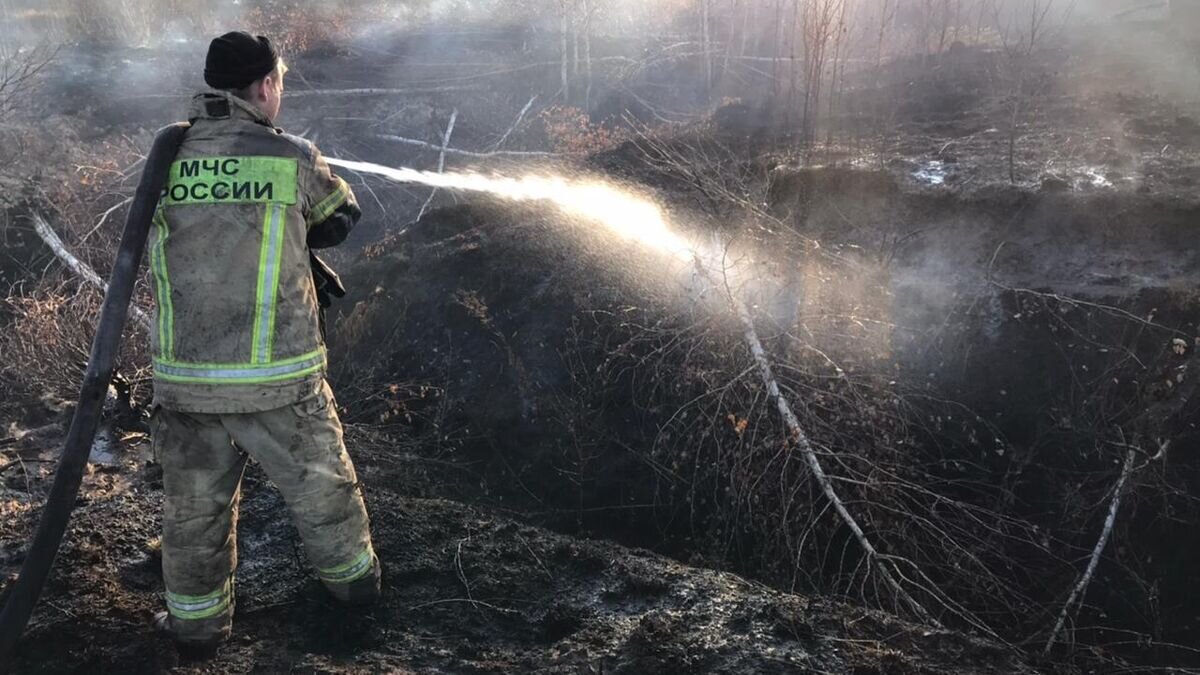    Пожарный у тлеющего торфяника на юге Екатеринбурга© Фото : Главное управление МЧС России по Свердловской области