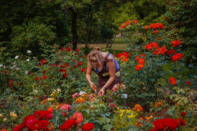 Картинка: flickr.com