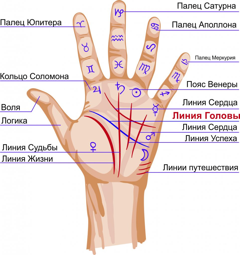 Хиромантия линия жизни картинка
