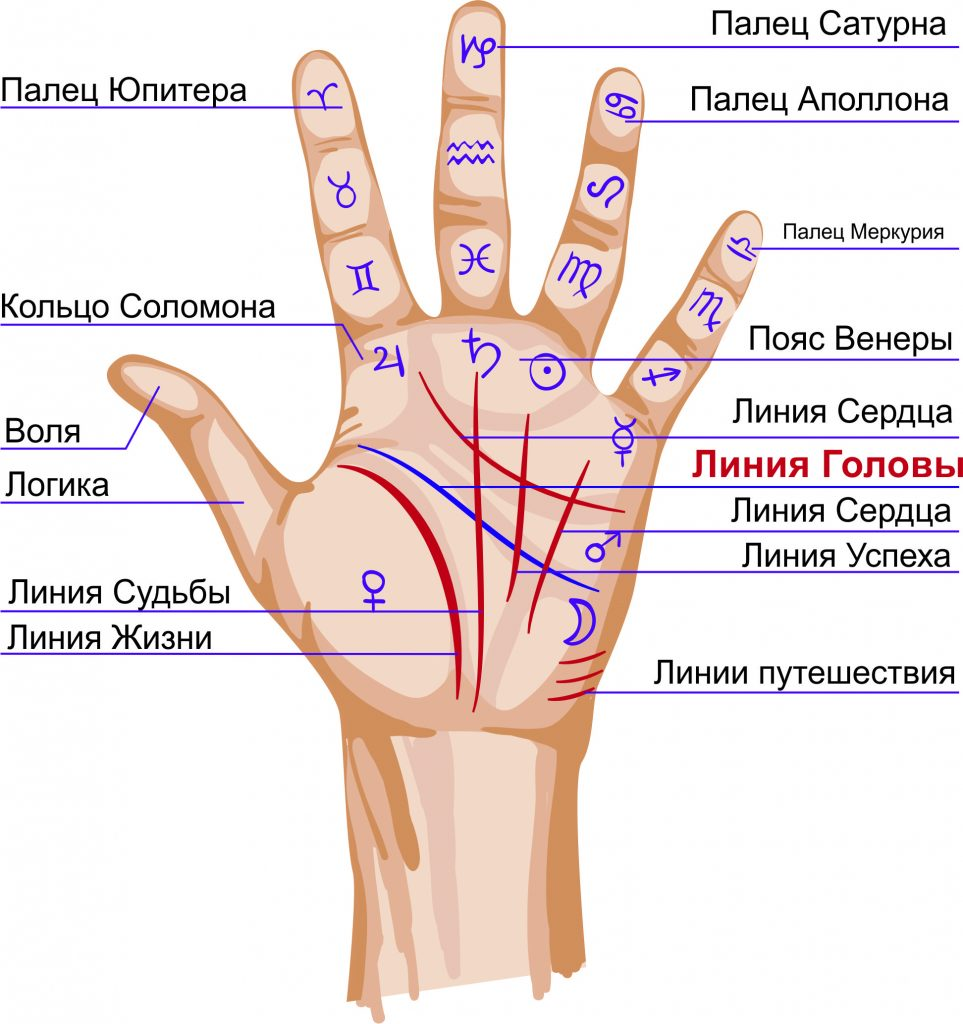 Карта жизни на ладони