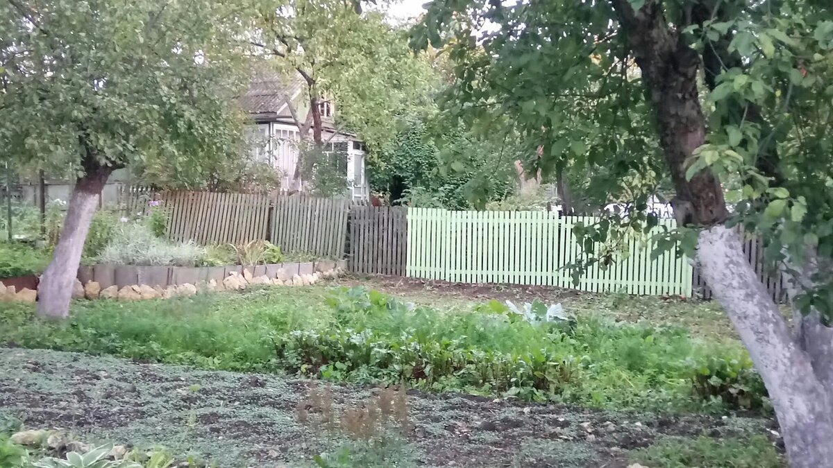 Забор)
