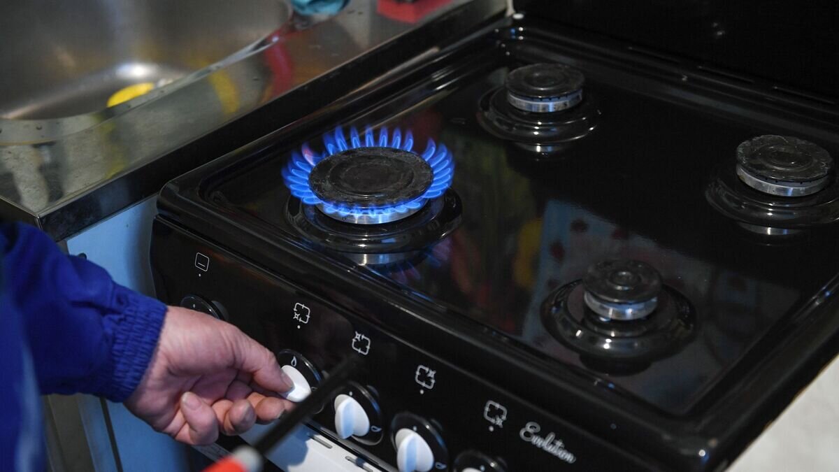    Специалист проводит техническое обслуживание внутриквартирного газового оборудования© РИА Новости / Александр Кряжев