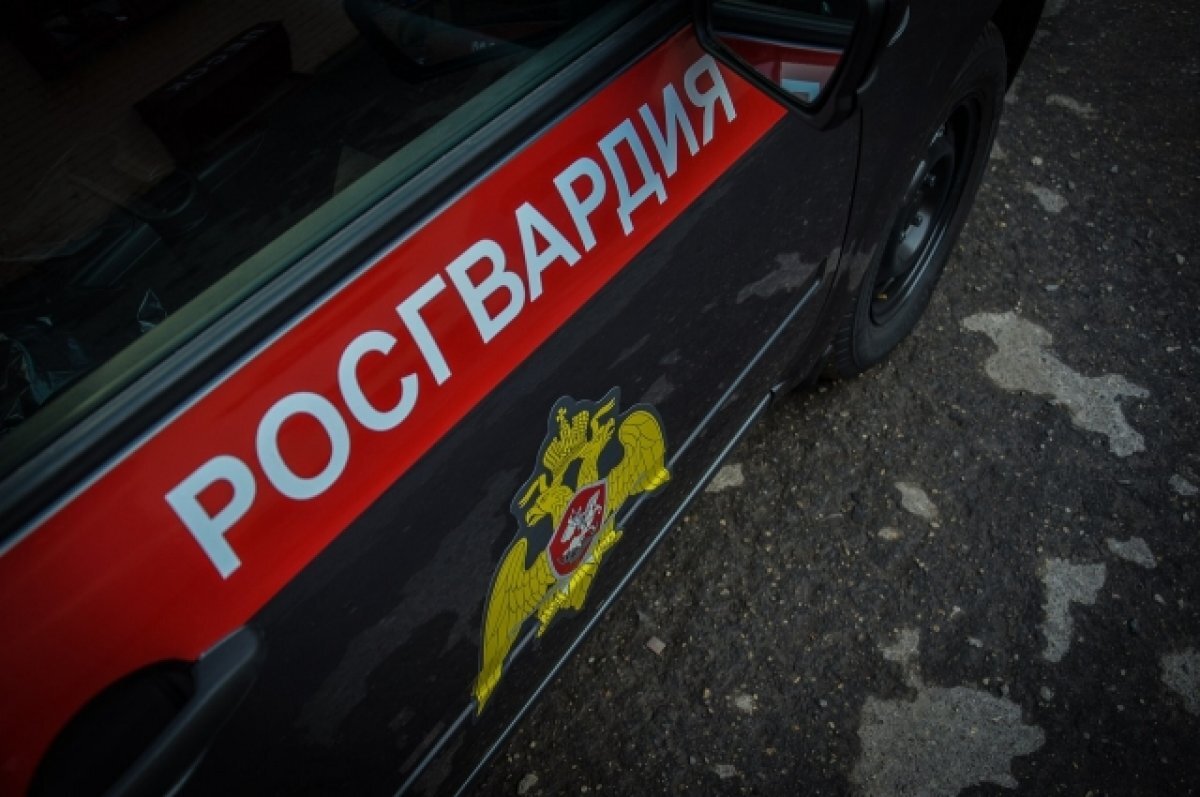    В Пензе задержали девушку, избившую в баре охранника