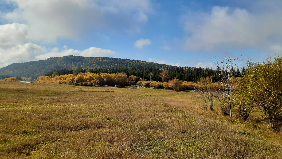 То что когда-то было "степью с кочками", потихоньку затягивается порослью деревьев
