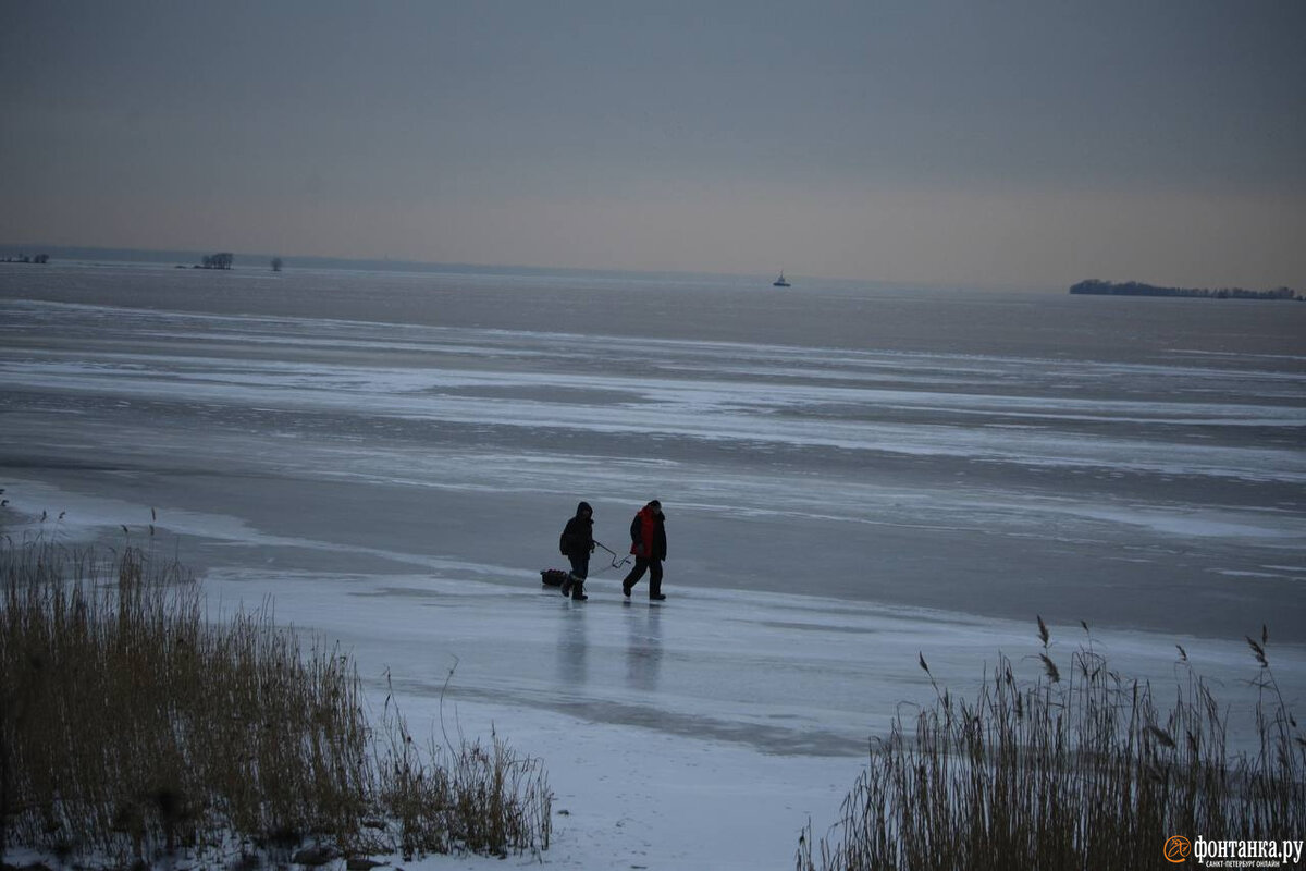 Продолжи гулять. Прогулки по льду Фонтанки. Петербуржец увидел солнце. Прогулка по льду Фонтанки в 2024 году. Жители Питера увидели солнце.