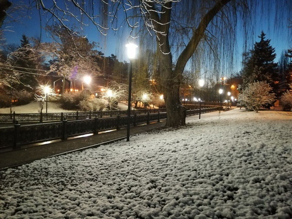     В парках появились белоснежные полянки. Ольга АВЕРЬЯНОВА
