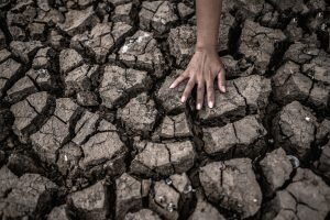    Фото: freepik.com Виталий Приходько