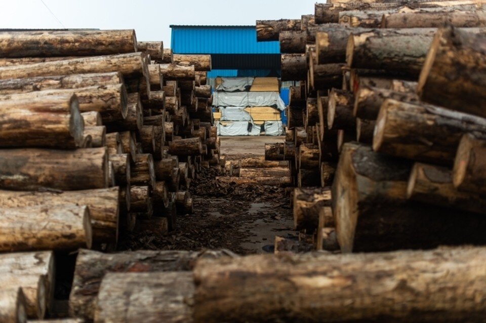   Виктор Гусейнов