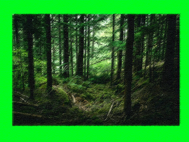 Для иллюстрации использовано фото с сайта unsplash