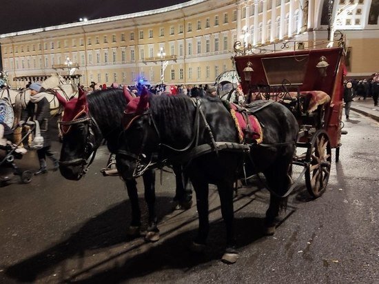     По Дворцовой больше не разносится цокот копыт. Фото: «МК в Питере»