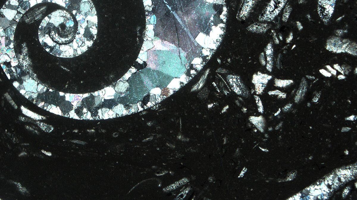   Газпром нефть