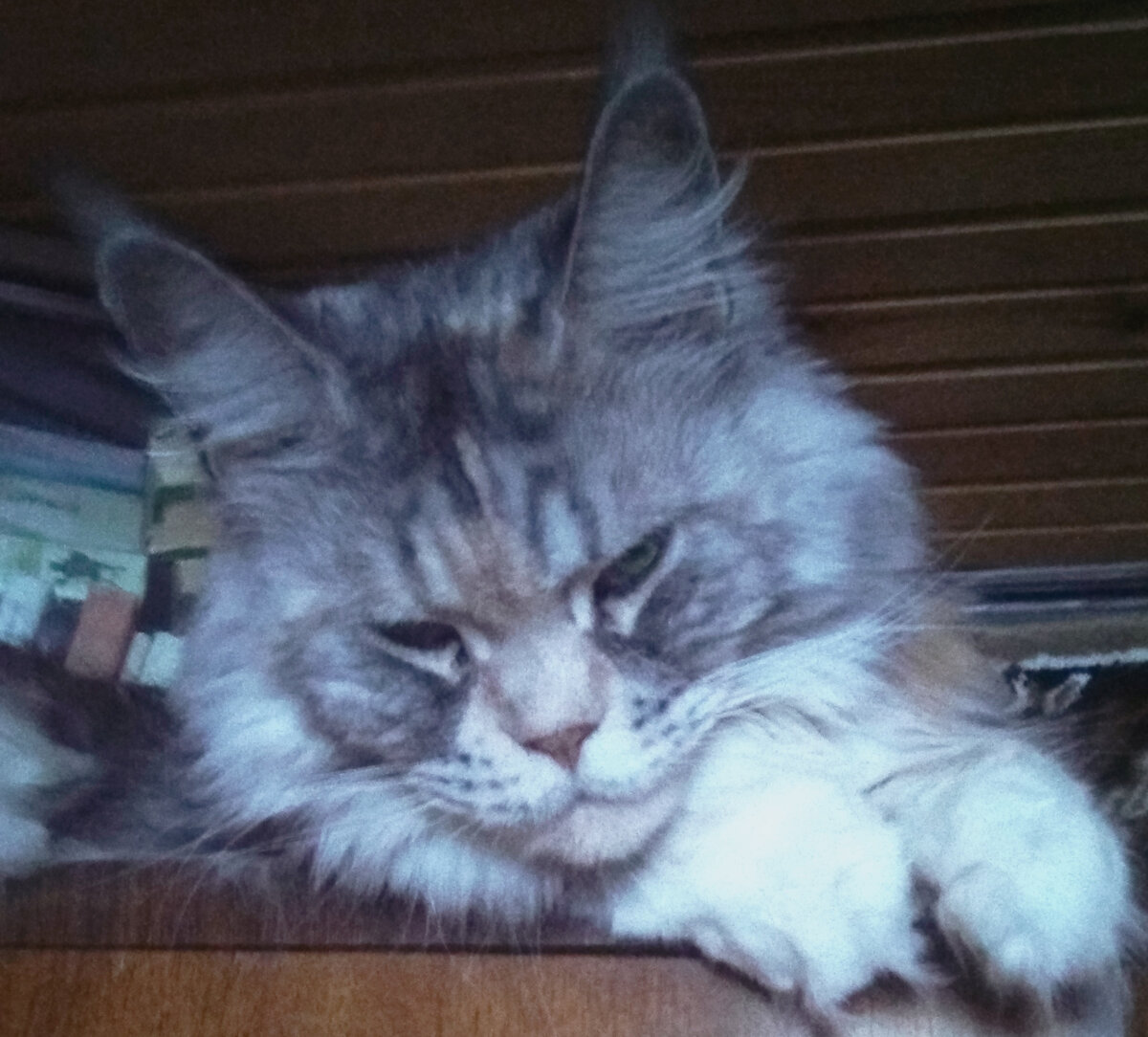 А это уже год назад