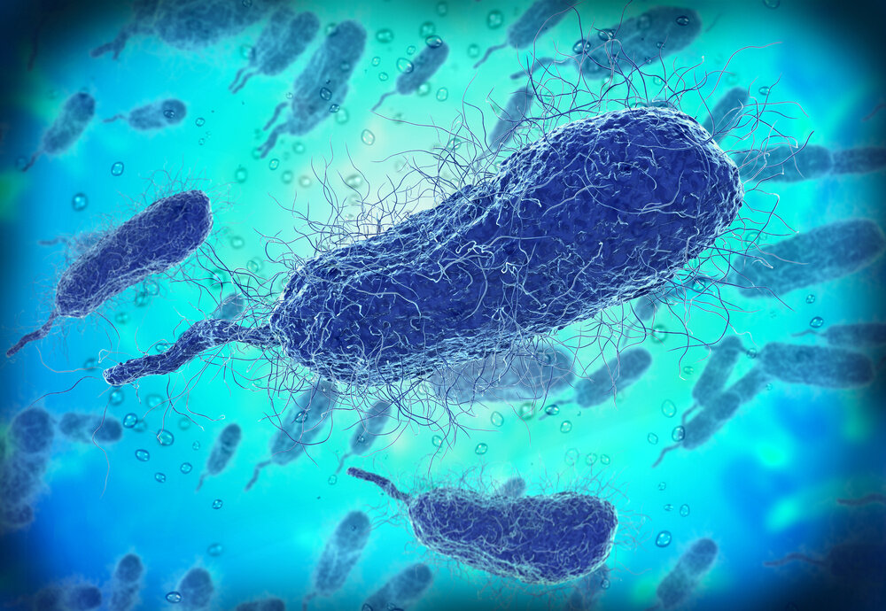 Vibrio vulnificus действуют быстро и крайне агрессивно Иллюстрация: © Giovanni Cancemi / Shutterstock / FOTODOM