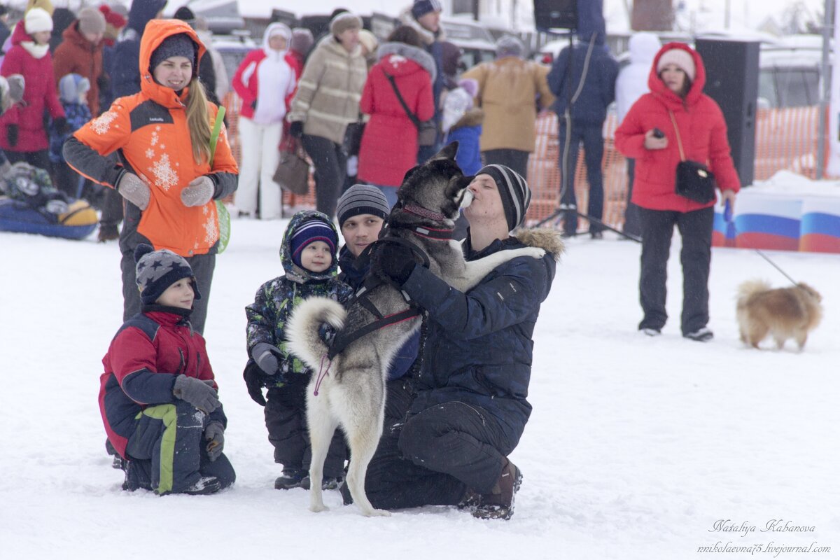 1. Ведь только на стадионе можно увидеть эмоции людей и собак.

