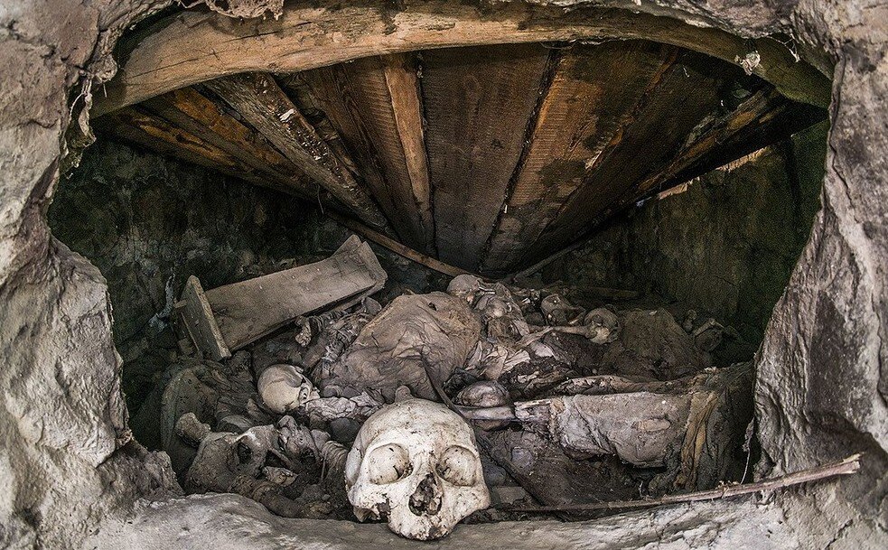 фото из открытых источников в сети Интернет