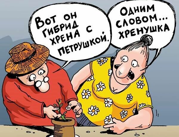 Карикатура из Яндекс картинок.