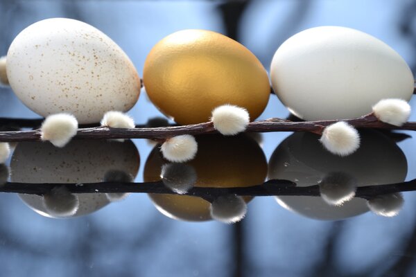 Белые или коричневые: 5 мифов о яйцах, за которые мы расплачиваемся рублем, а иногда и здоровьем