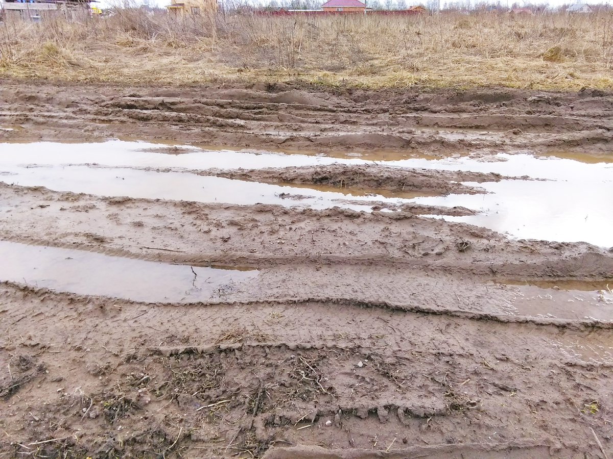 Дорога, рядом с моим домом, примерно месяц назад.