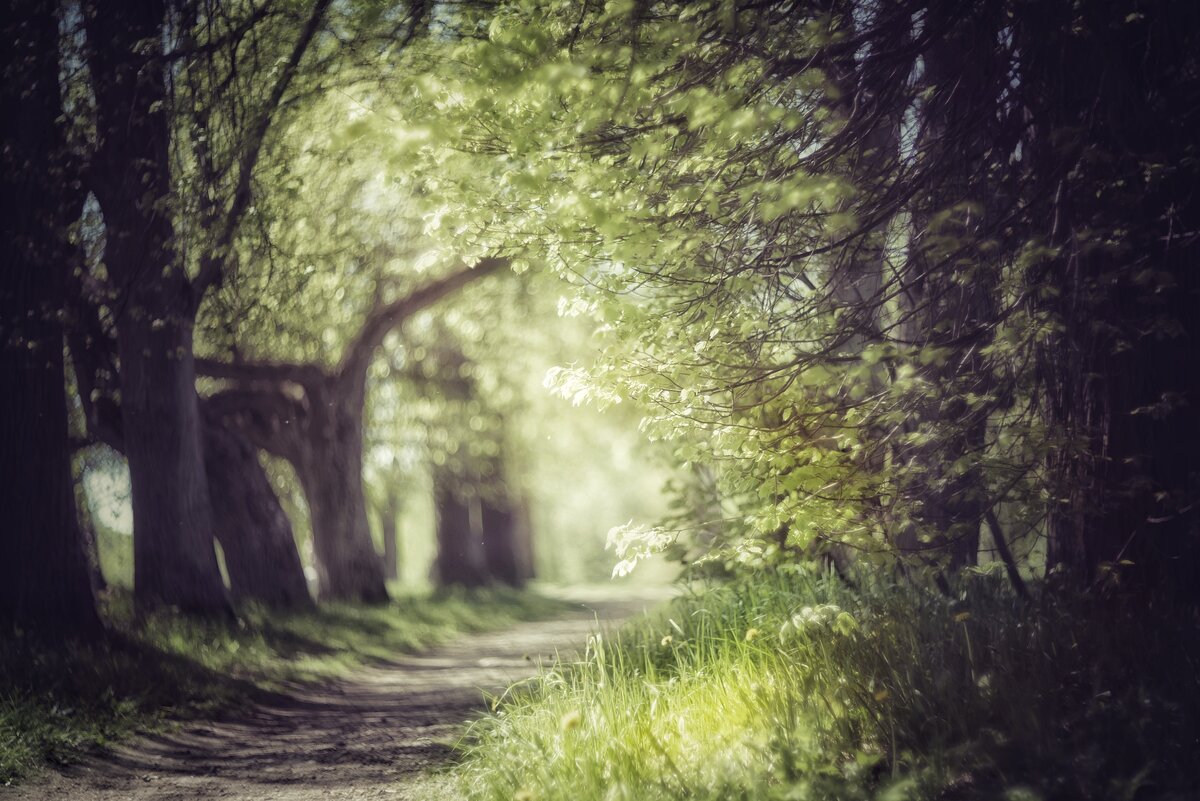 это моя фотка Луговой парк на ней