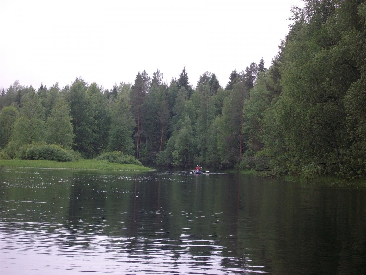 Река кула. Река Кулой. Кулой (река, впадает в белое море). Река Кулой Вологодская область. Кулой (приток ваги).