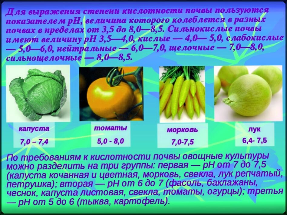 фото взято из интернета