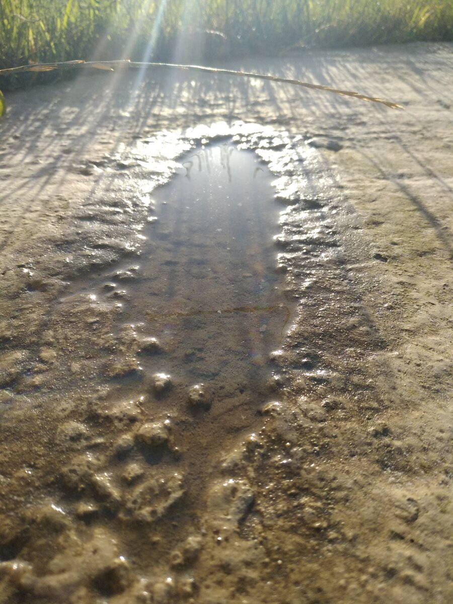 Вода оставляет следы