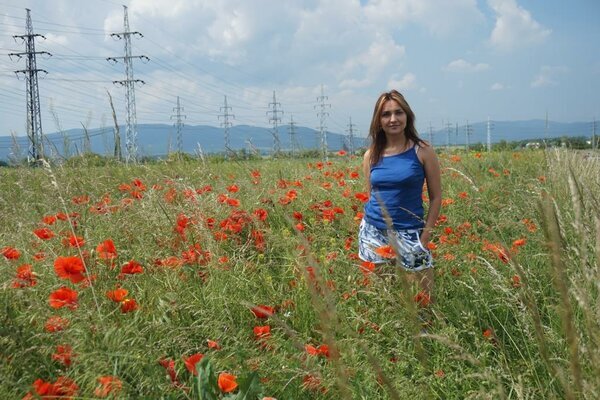 Маковые поля в Беларуси (фото из личного архива)