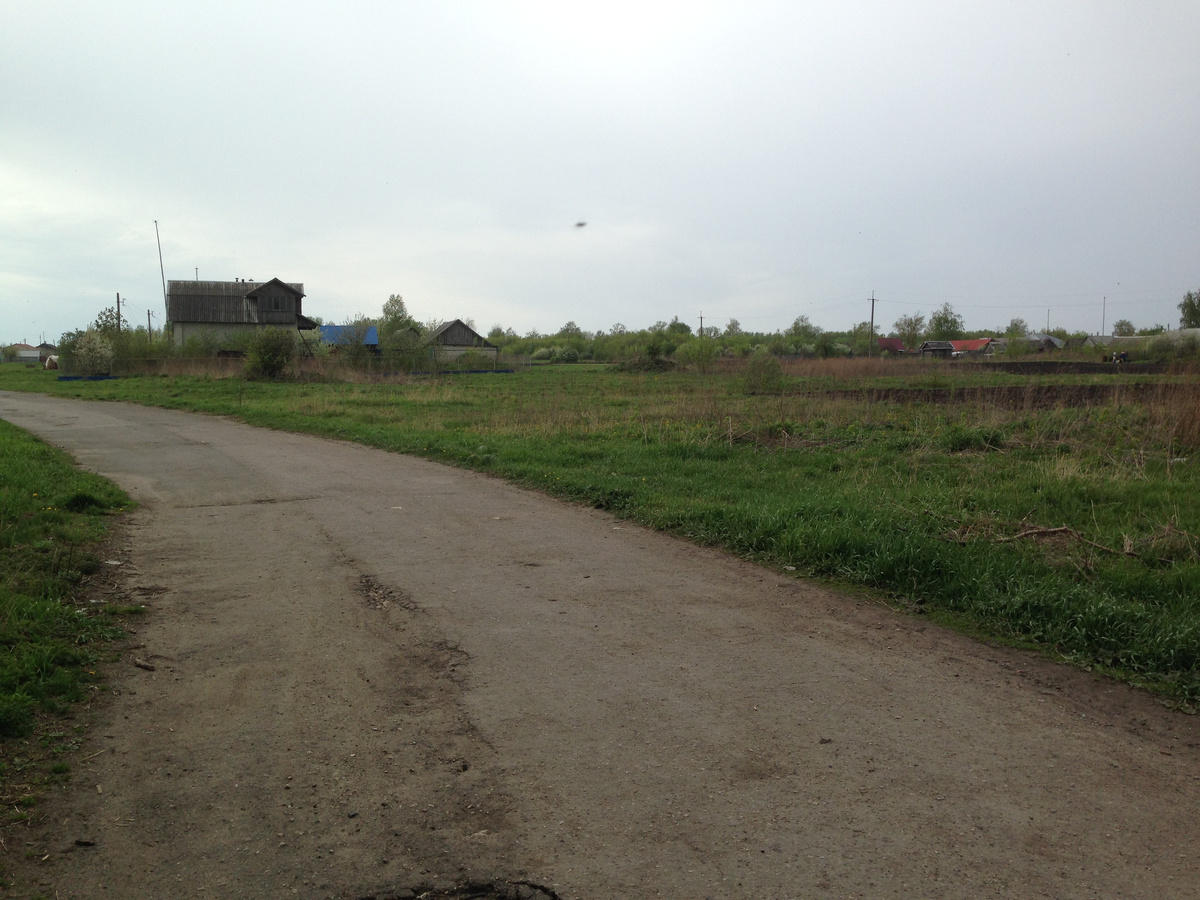 Хорошо еще, что мне не пришлось сносить старые постройки. Участок мне достался практически голый.