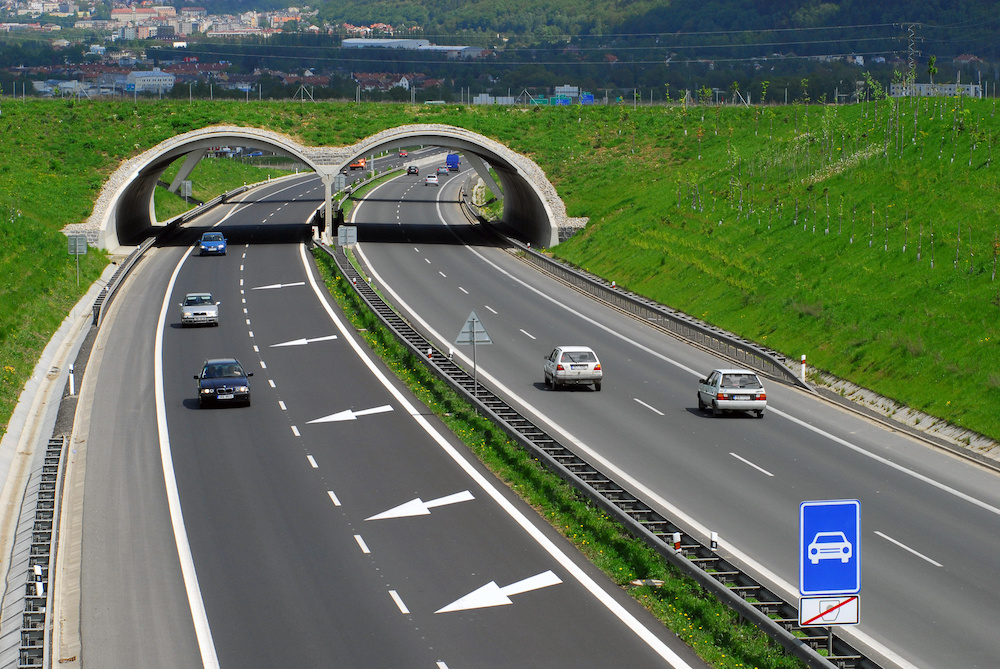 Фотография взята из источник www.binio.ru