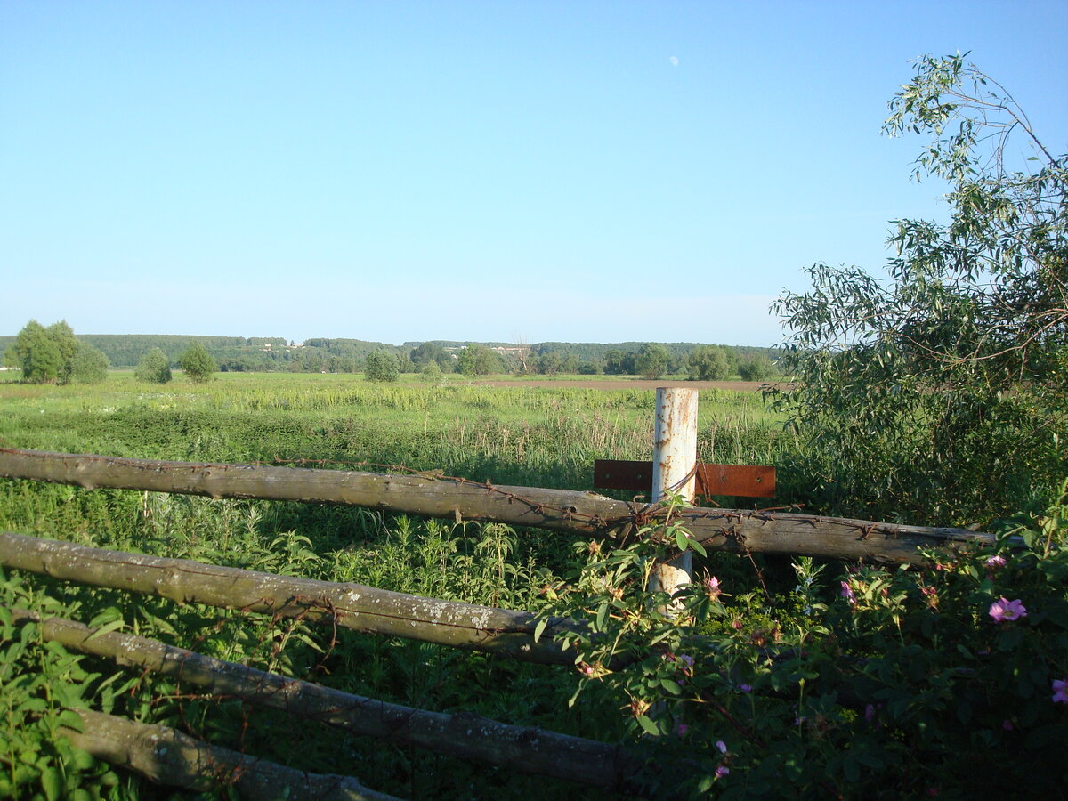 Такой вид за нашими дачами! Там, за кустами, речка. А они - про долги!