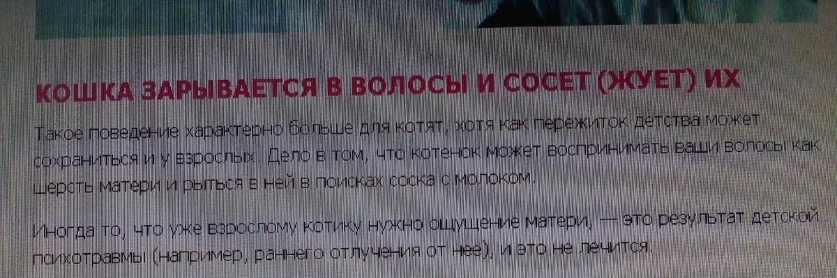 Источник: 